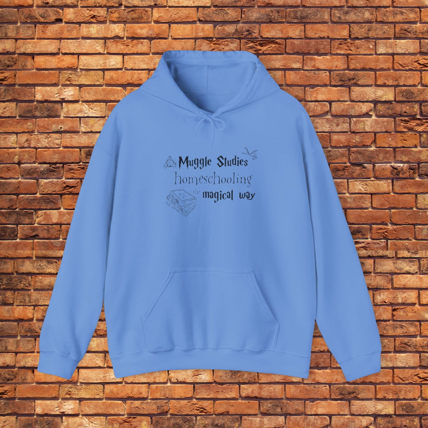 MUGGLE STUDIES HOMESCHOOLING THE MAGICAL WAY hoodie