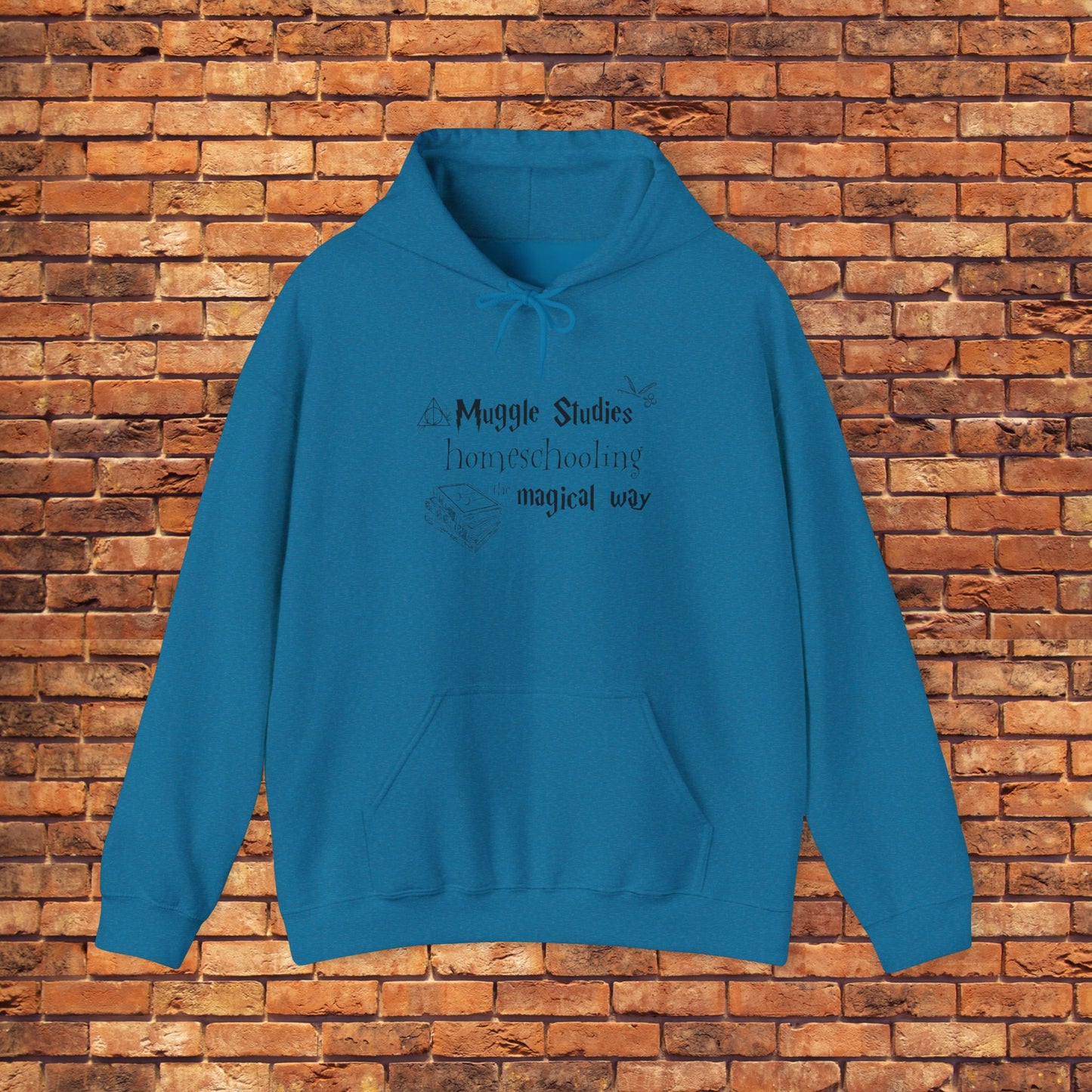 MUGGLE STUDIES HOMESCHOOLING THE MAGICAL WAY hoodie